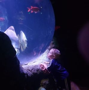 Meet your Posher, Lance